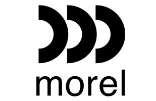 Morel
